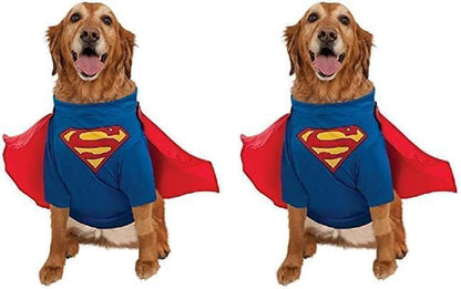 SuperPup (Big Dogs)