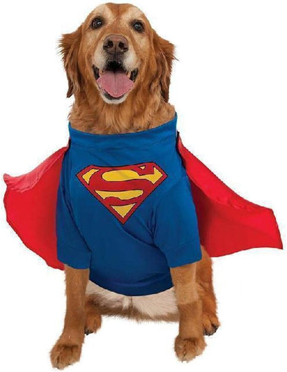 SuperPup (Big Dogs)