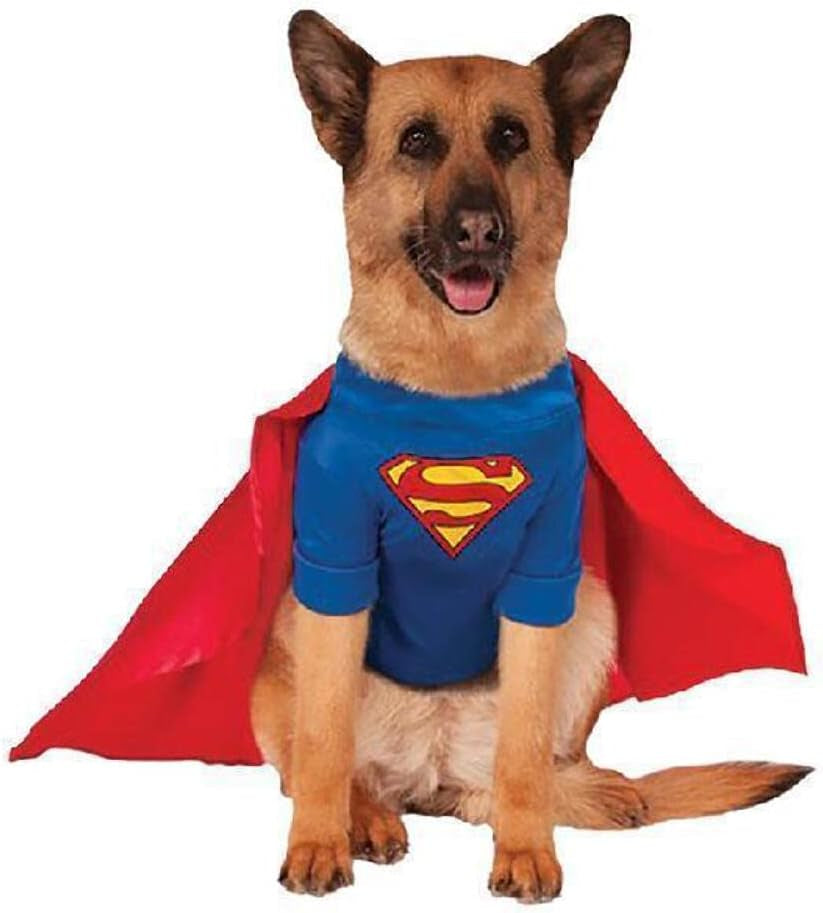 SuperPup (Big Dogs)