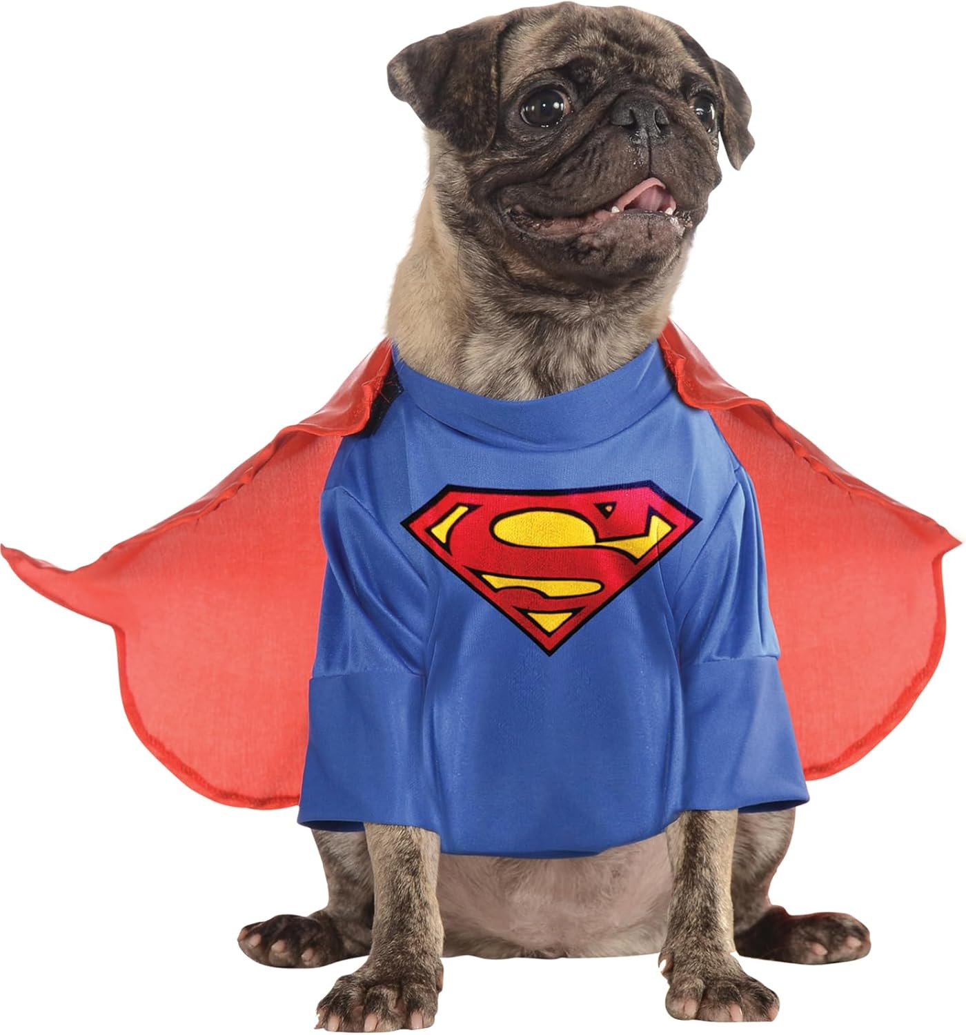 SuperPup (Big Dogs)