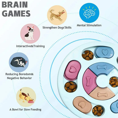 Brainy Bites