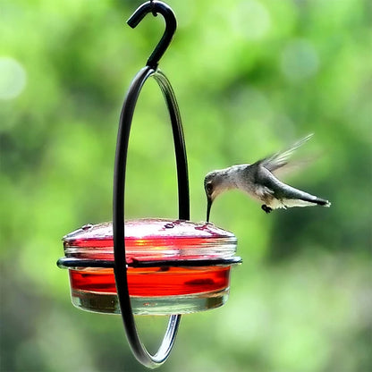 Hummingbird Haven