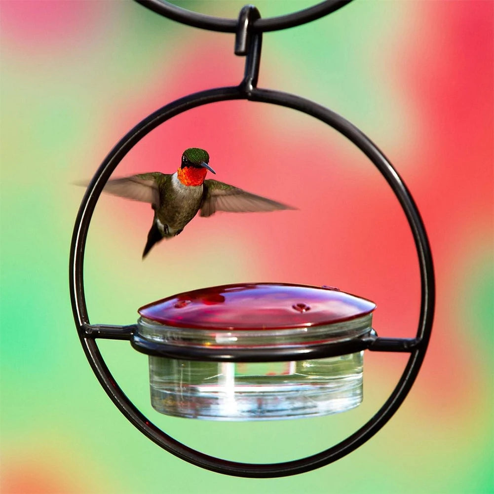 Hummingbird Haven